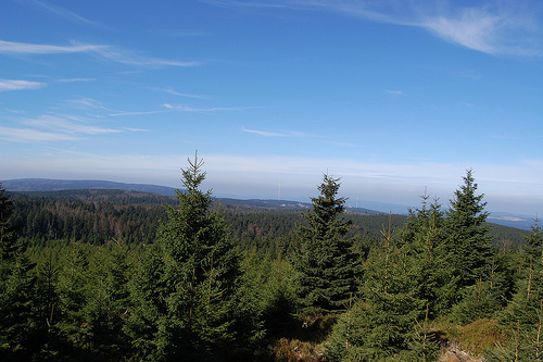 Harz National Park